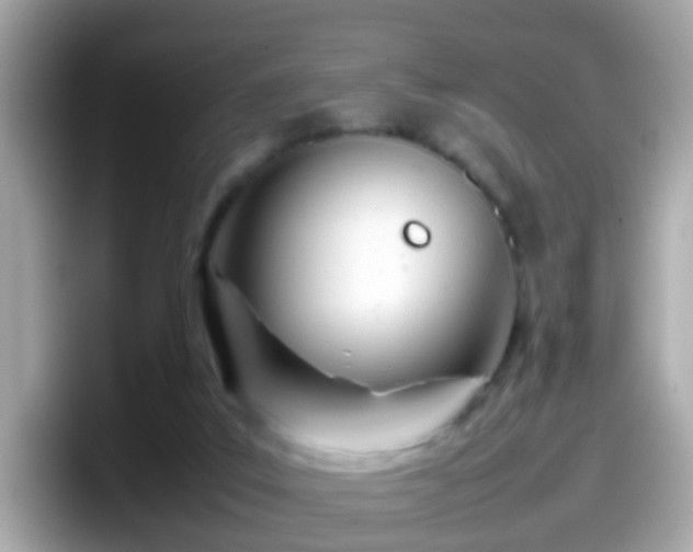 X0000098100019200804111032