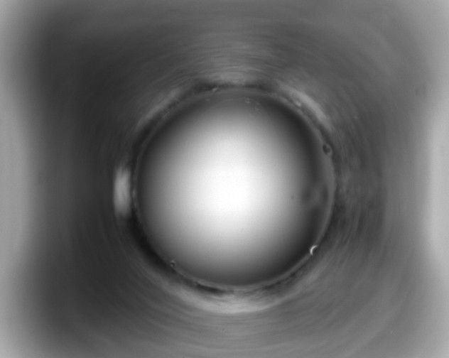 X0000098100020200804111032