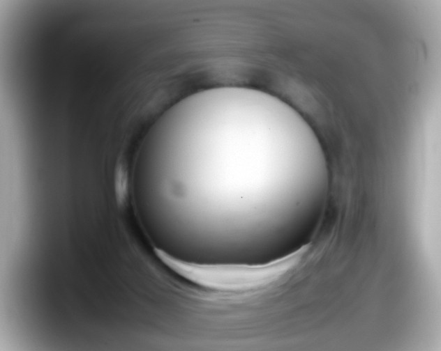 X0000098100021200804111032