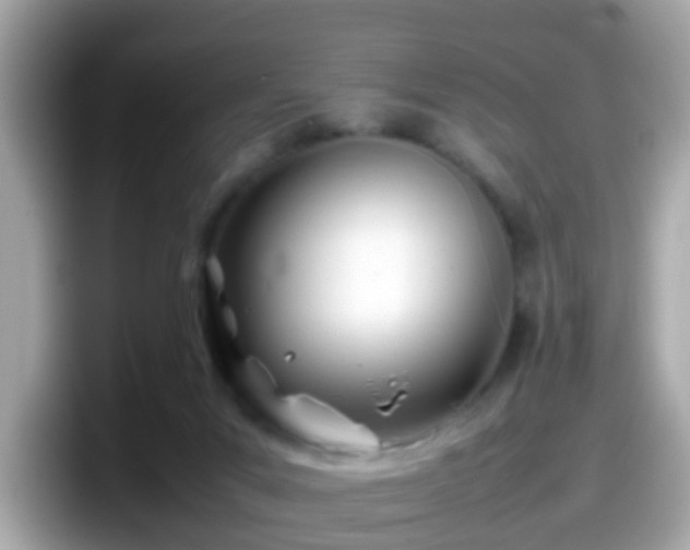 X0000098100023200804111032