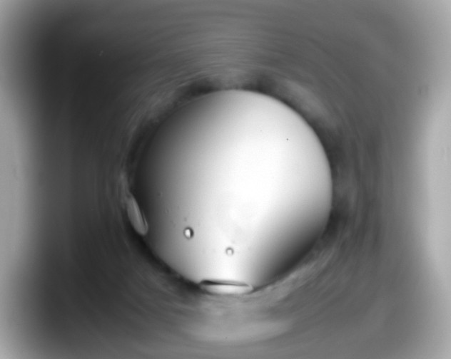 X0000098100025200804111032