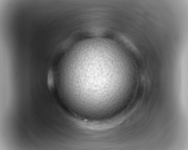 X0000098100026200804111032
