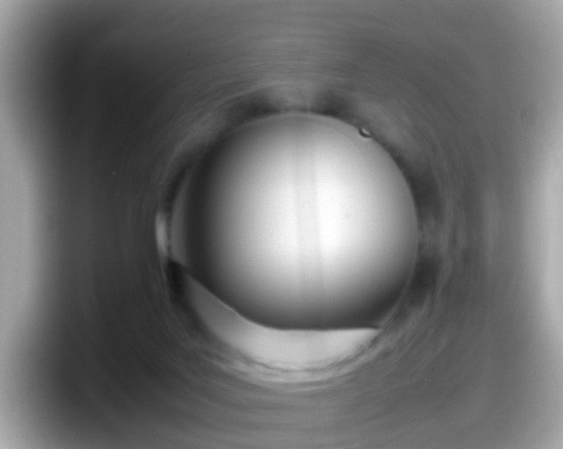 X0000098100027200804111032