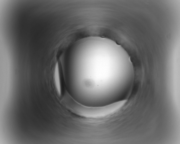 X0000098100029200804111031