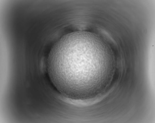 X0000098100030200804111031