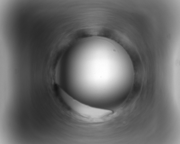 X0000098100031200804111031