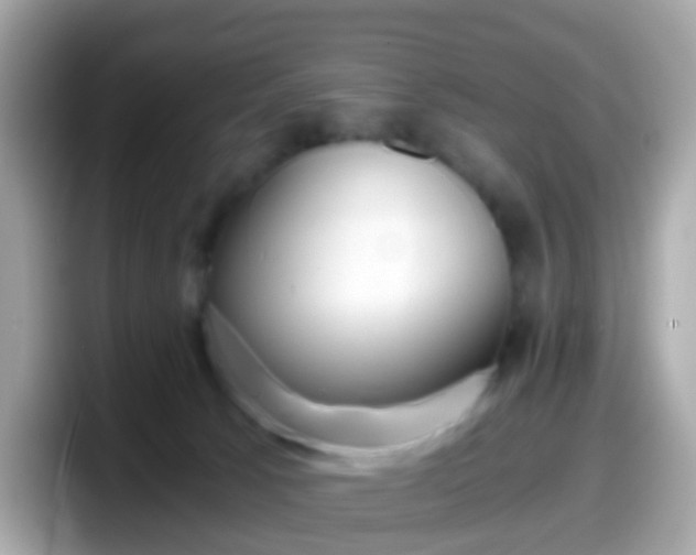 X0000098100033200804111031