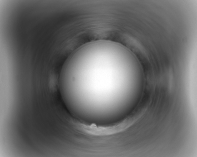 X0000098100034200804111031