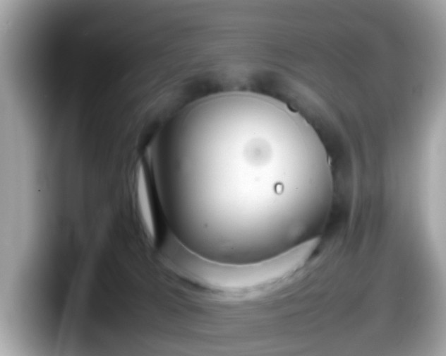 X0000098100037200804111031