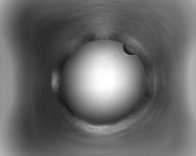X0000098100038200804111031