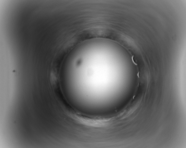 X0000098100040200804111031