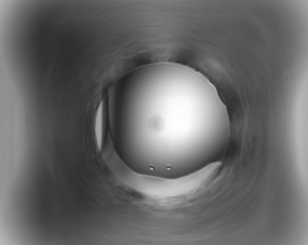 X0000098100041200804111031