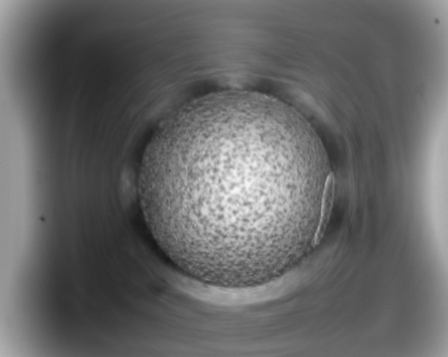 X0000098100043200804111031