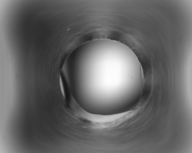 X0000098100045200804111031