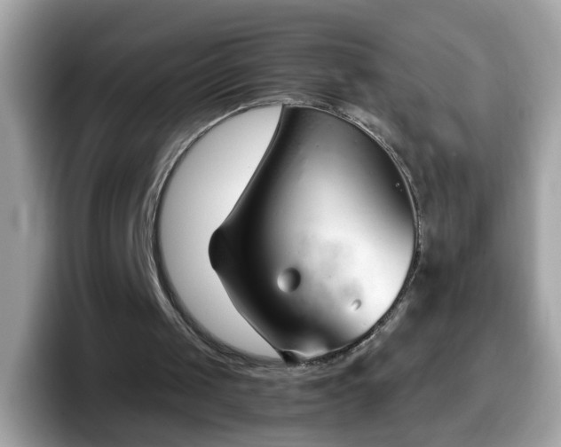 X0000098100049200804111031