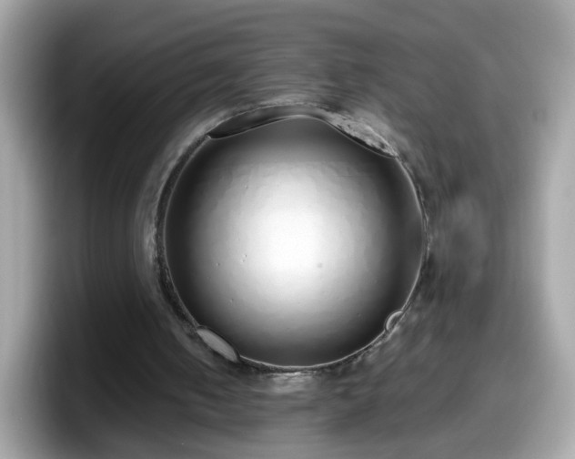 X0000098100050200804111031
