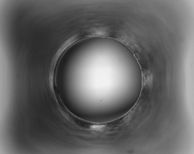 X0000098100051200804111031