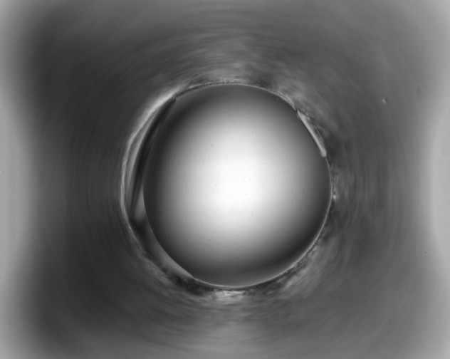 X0000098100052200804111031