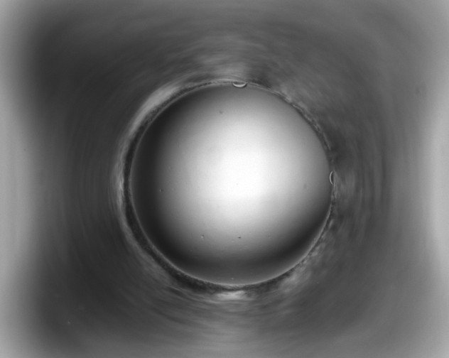 X0000098100054200804111031