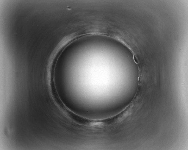X0000098100055200804111031
