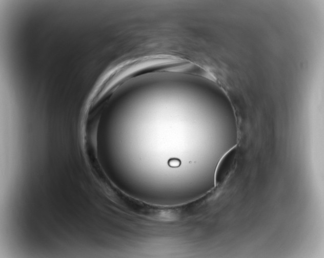 X0000098100056200804111031