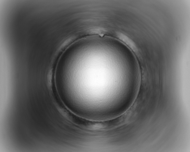 X0000098100058200804111031
