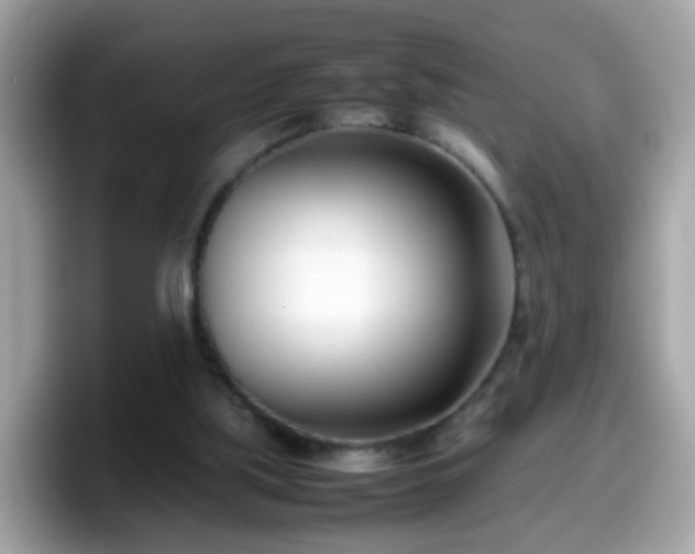 X0000098100059200804111031