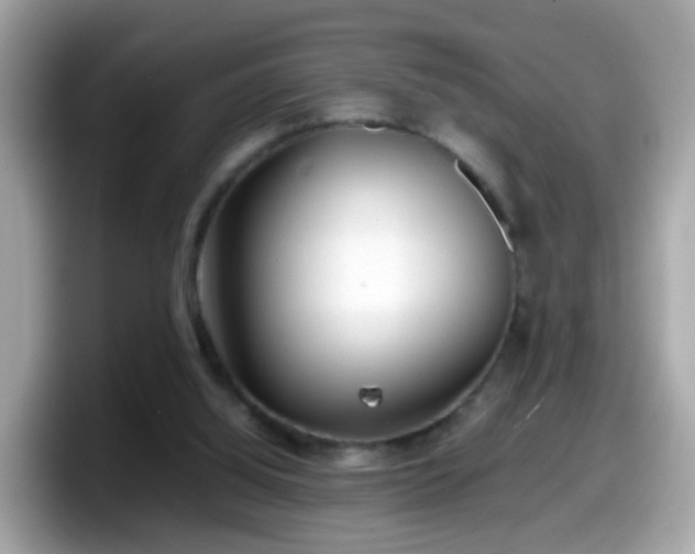 X0000098100060200804111031