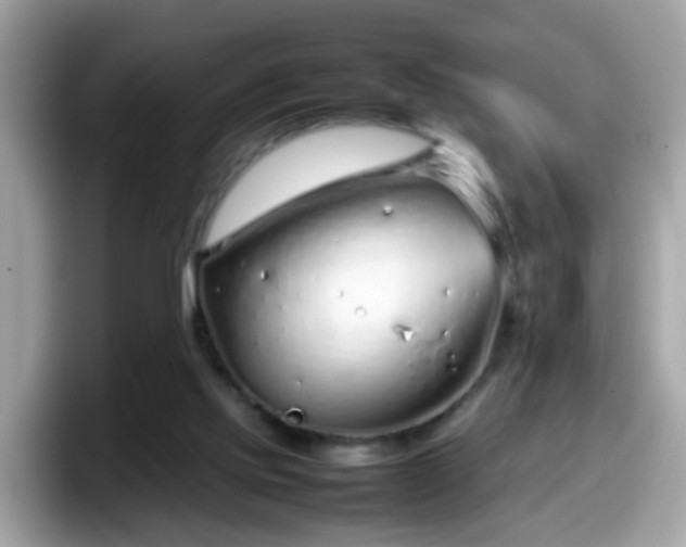 X0000098100061200804111031