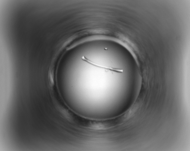 X0000098100062200804111031