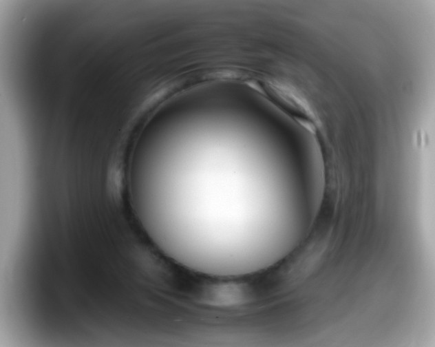 X0000098100063200804111031