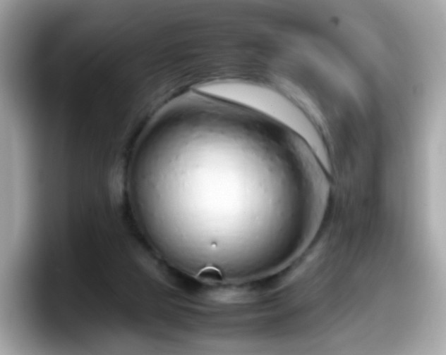 X0000098100065200804111031