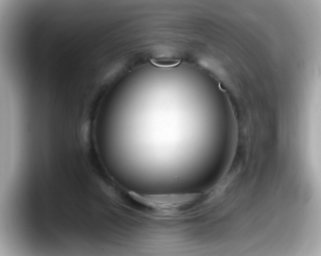 X0000098100066200804111031