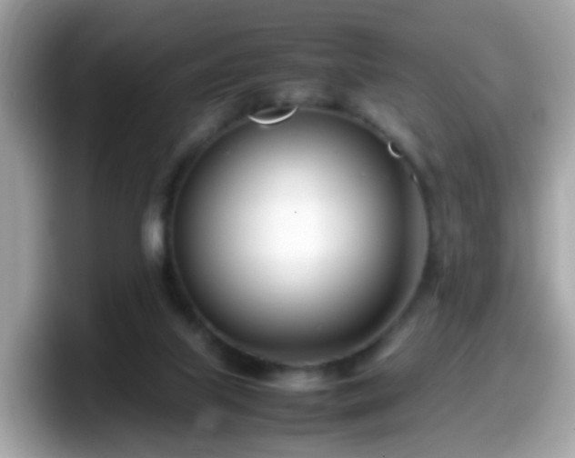 X0000098100067200804111031