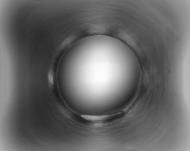X0000098100068200804111031