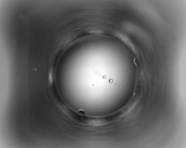 X0000098100069200804111031