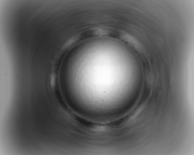 X0000098100071200804111031