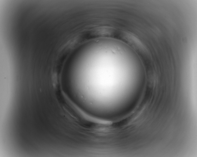 X0000098100077200804111031