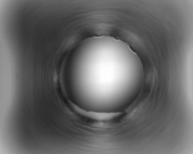 X0000098100084200804111031