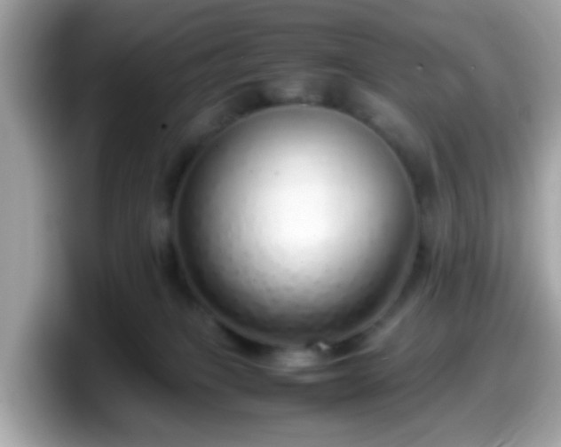 X0000098100085200804111031