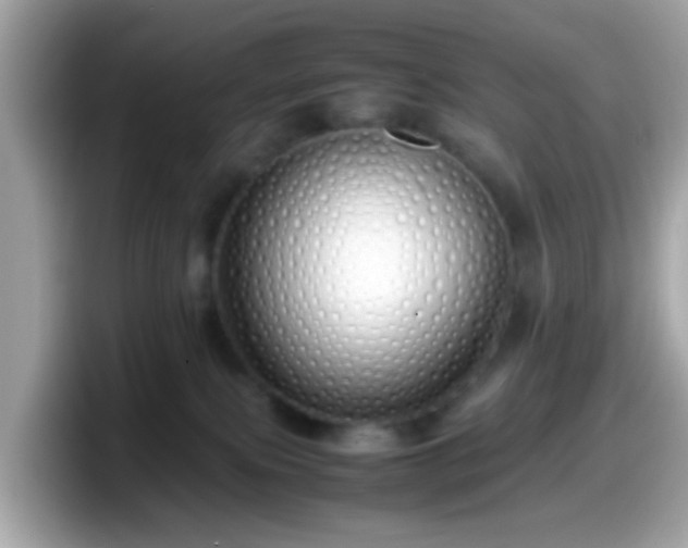 X0000098100087200804111031