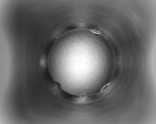 X0000098100090200804111031