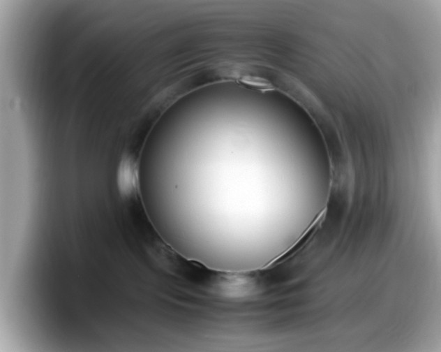 X0000098100095200804111031