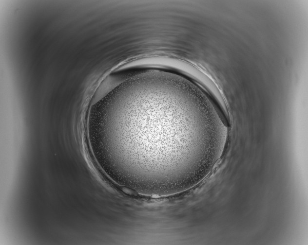 X0000098100097200804111031