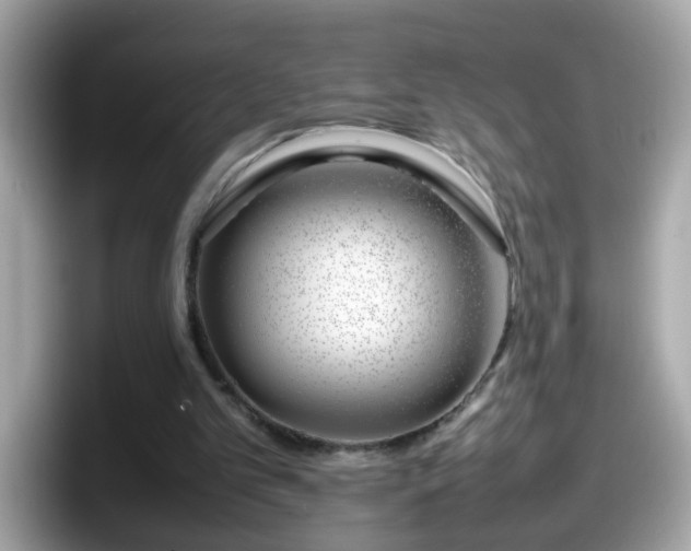 X0000098100101200804111031