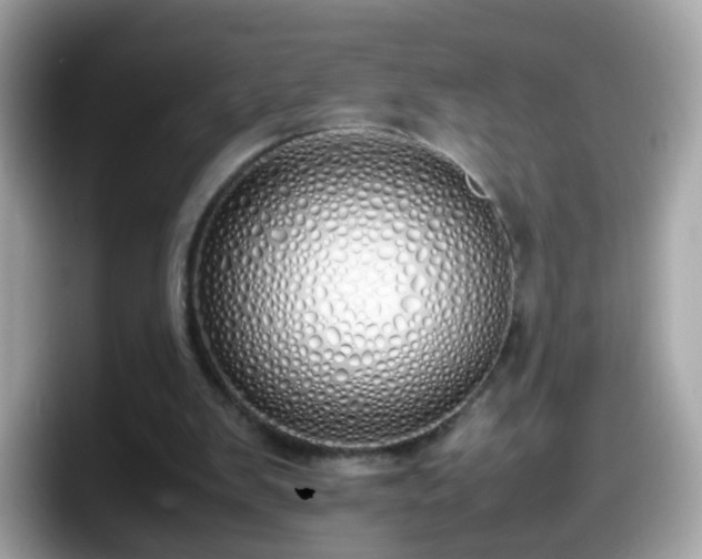 X0000098100103200804111031