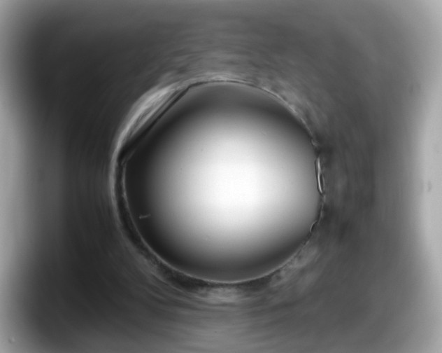 X0000098100104200804111031