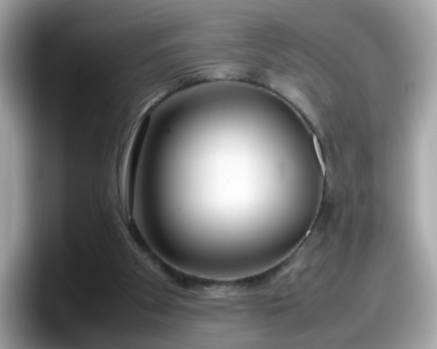 X0000098100105200804111030