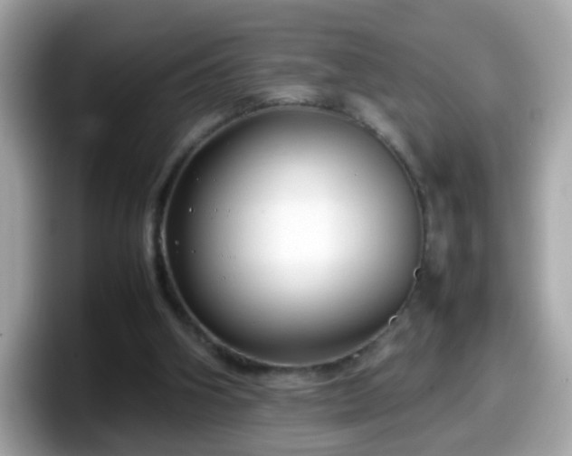X0000098100106200804111030