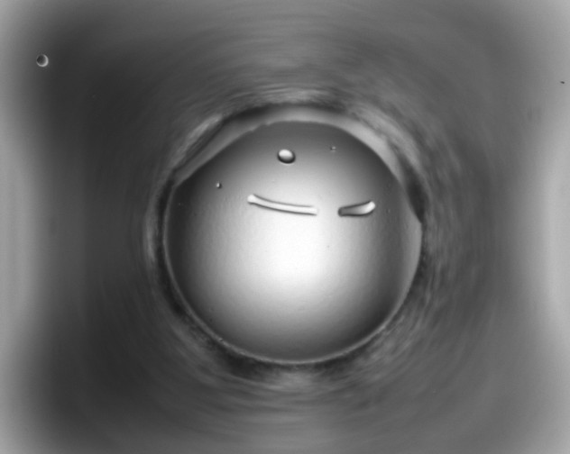 X0000098100107200804111030